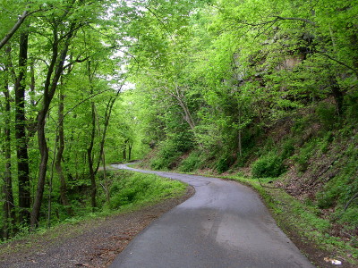 [A paved one-lane road winds to the left through the leafy trees on the hillside.]